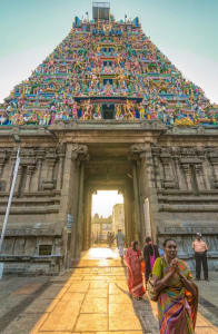 10 Best Sea Routes in India To Experience Cruising 3 cruising-in-india